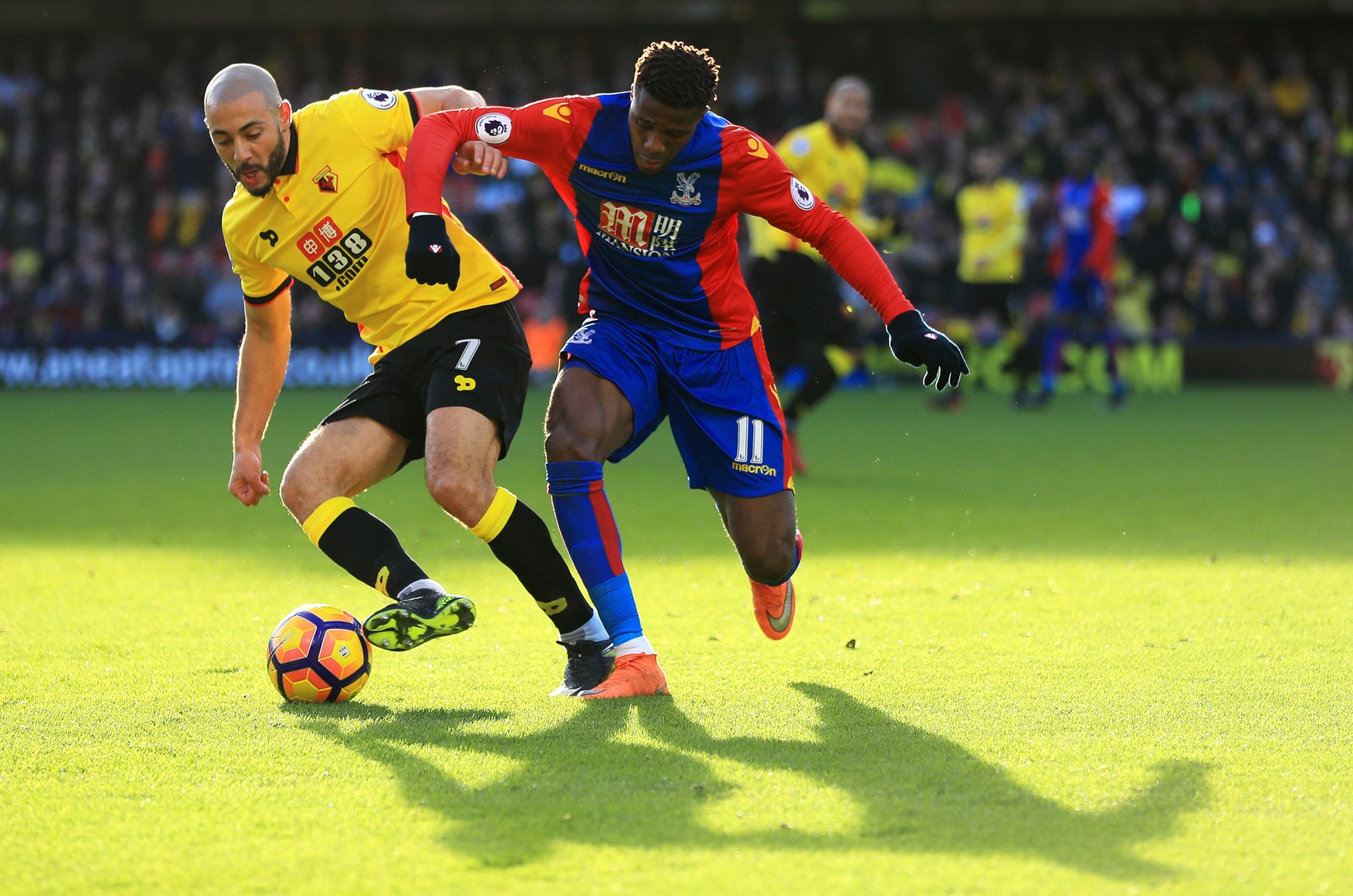 成为顶级教 成为顶级教